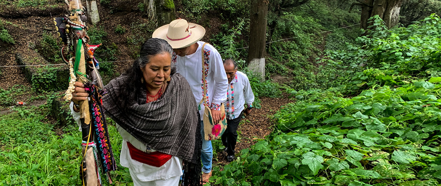 Otomí spiritual leader Lucina Hernández Reyes leads a walk in a forest with community leaders in San Miguel Almaya, Capulhuac